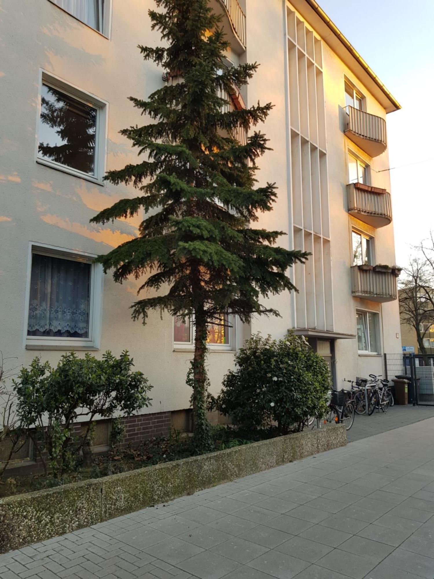 Apartment Design-apartment *